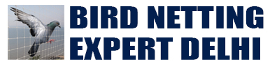 bird netting expert delhi